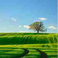 简​单‌的‌自‌动﻿化‍脚‍本​